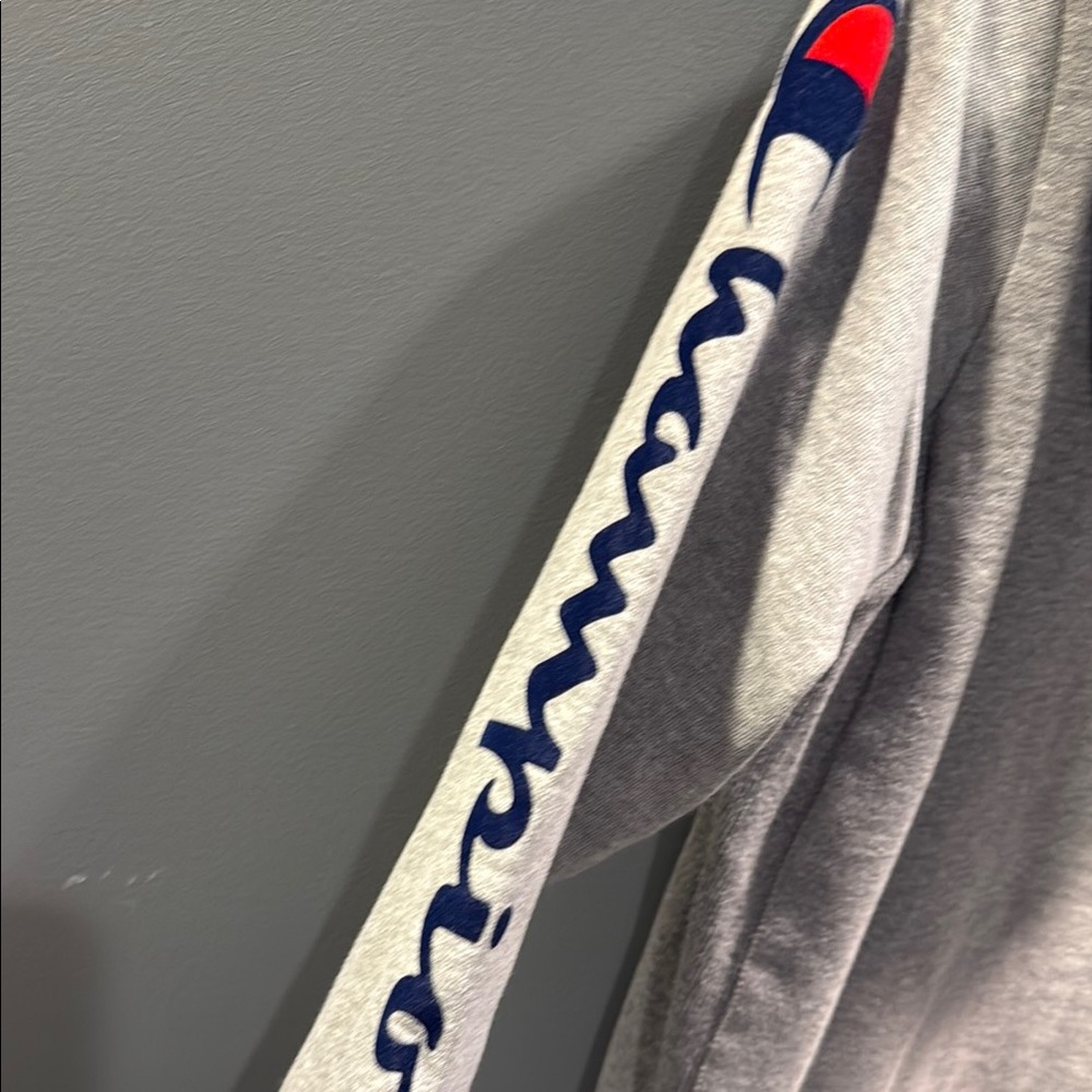 Boy’s Champion Gray Hoodie - Picture 3 of 4